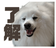 711054590
