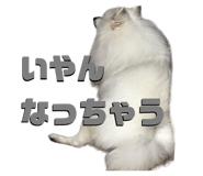 711054605