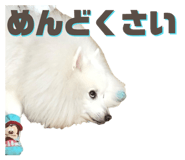 711054607