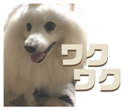 711054610