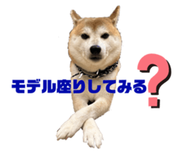 711060978