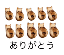 711061678