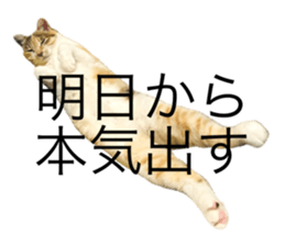 711061699