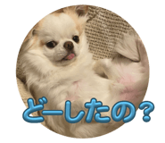 711062651