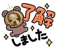 711062652