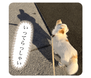 711062657