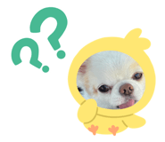 711062658