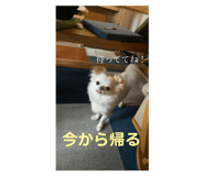 711062661