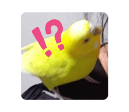 711075668