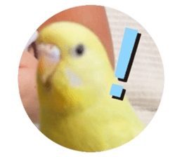 711075670