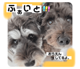 711084343