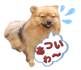 711094090