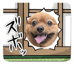 711094105