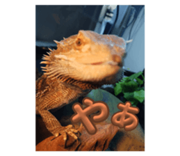 711094979