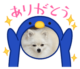 711107880