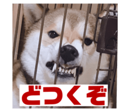 711110369