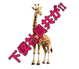 711131553