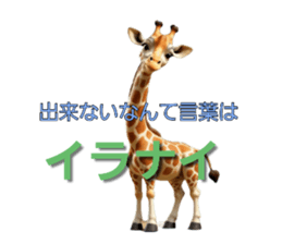 711131555