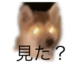 711133619