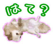 711139518