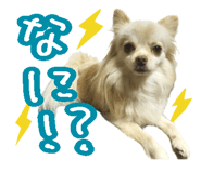 711139519