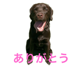 711143256