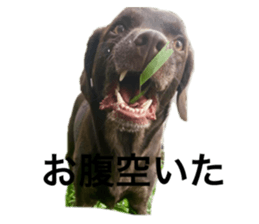 711143266