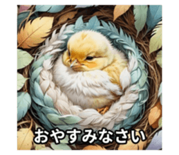 711146544