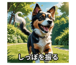 711146547
