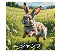 711146549