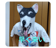 711154844