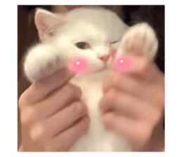 711179910
