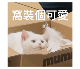 711179912