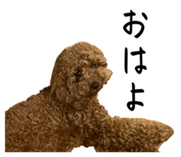 711203614
