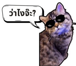 711216950