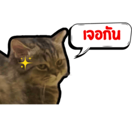 711216956
