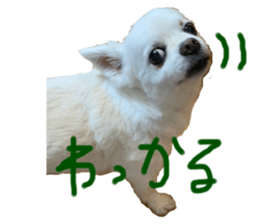 711217186