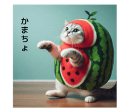 711236528