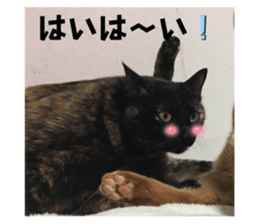 711238710