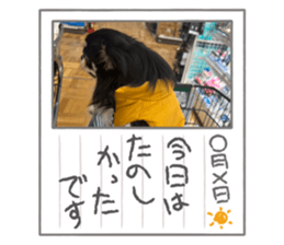 711276306