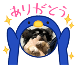 711276308