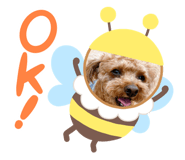 711280954