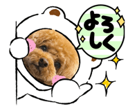 711280962