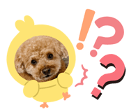 711280968
