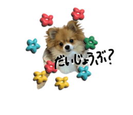 711281553