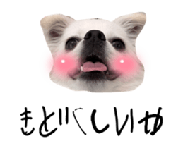 711284635