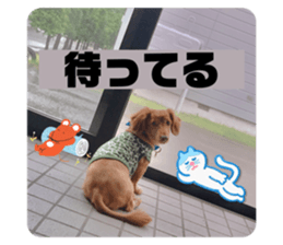 711293705