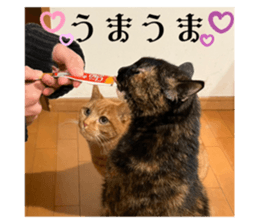 711305309