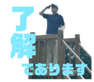 711306658