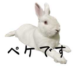 711314960